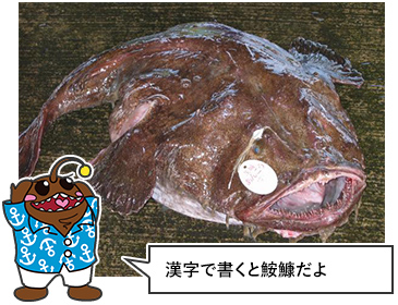 󤳤饤᡼1