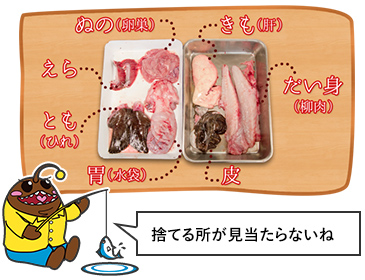 󤳤饤᡼2